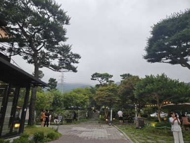 선일신발 이미지