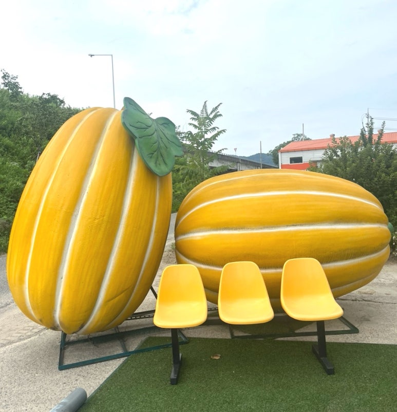 카페옐롱 이미지