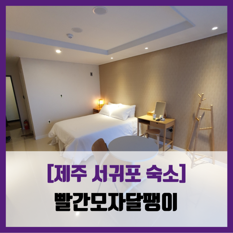 빨간모자달팽이 이미지