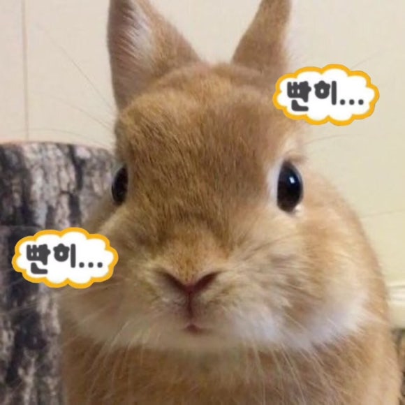 해전 아구찜 이미지