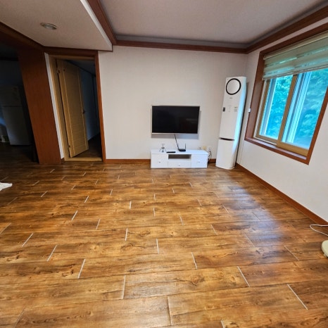 마로니에1970 이미지