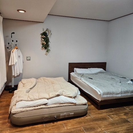 마로니에1970 이미지