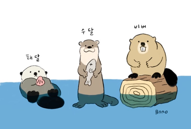 쥬뗌 이미지