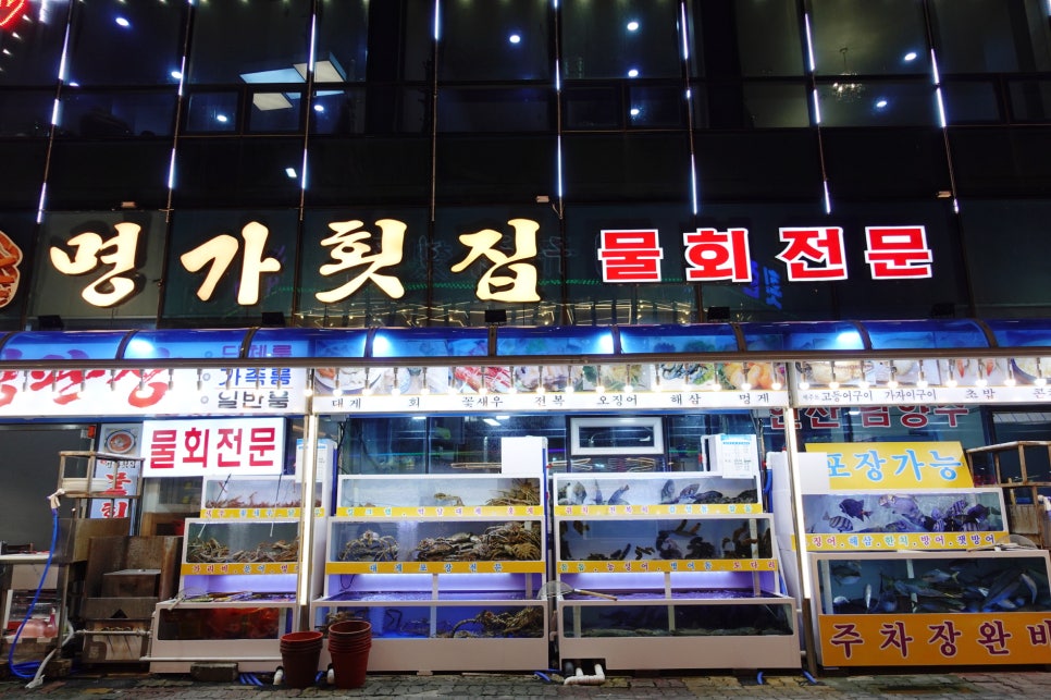 다시오고싶은집 이미지