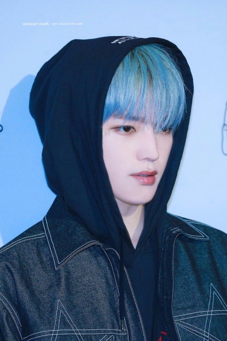 아쿠아미용실 이미지