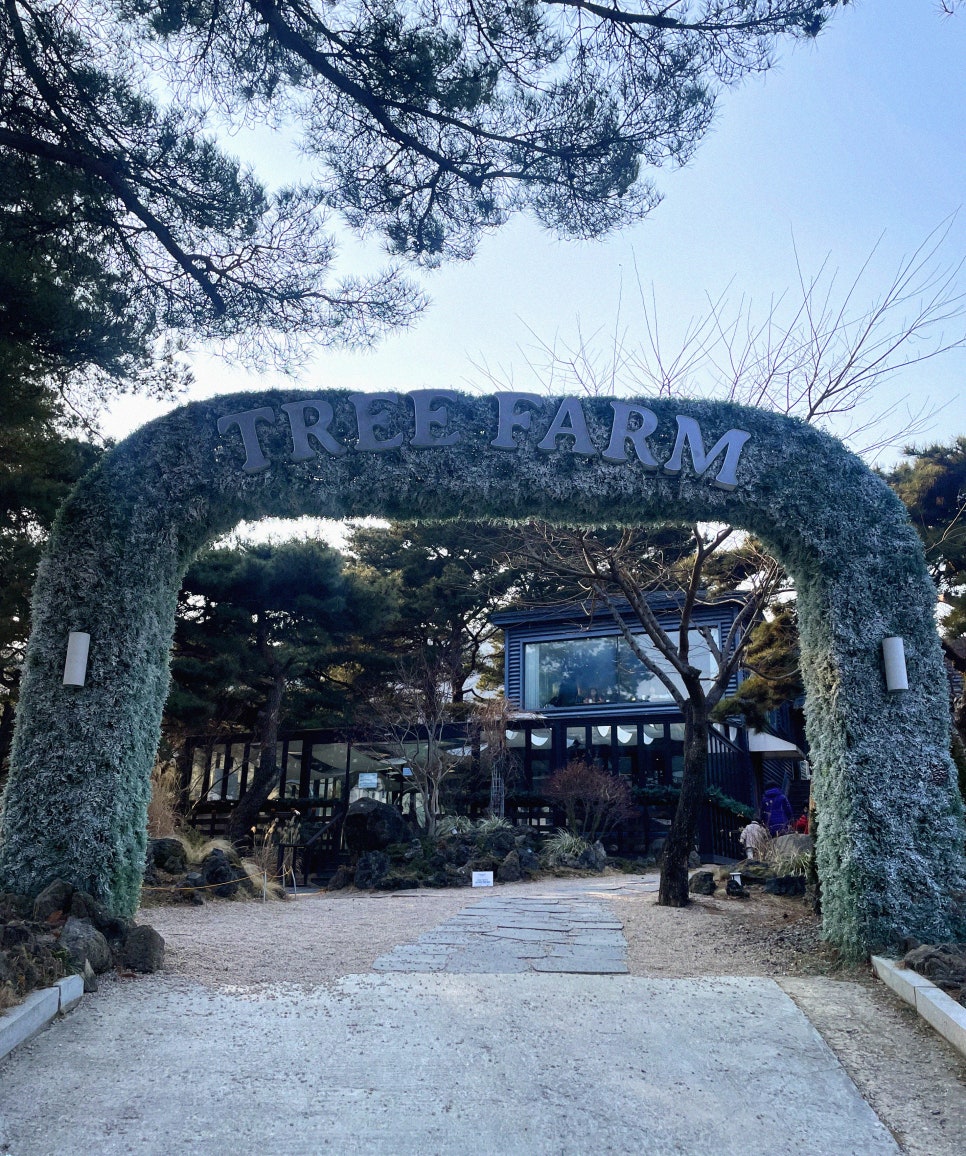 카페트리 이미지