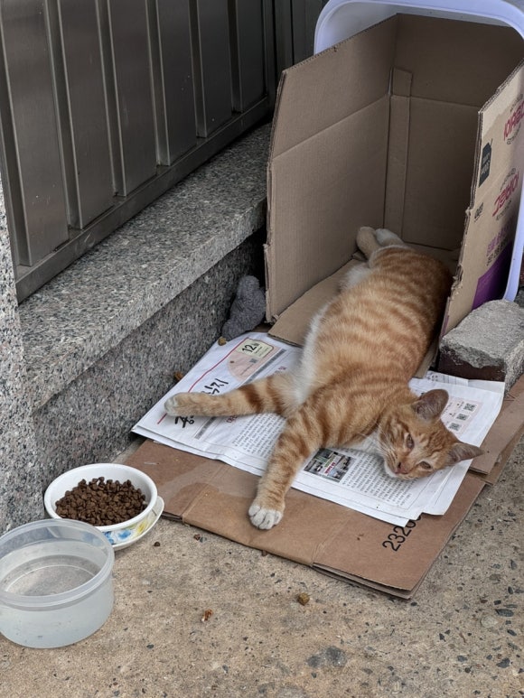 코코옷수선 이미지