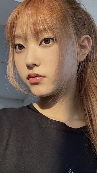 퍼블릭헤어 이미지