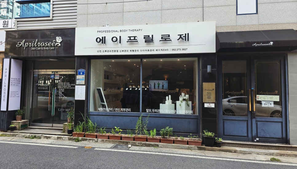 애드스파EMS 이미지