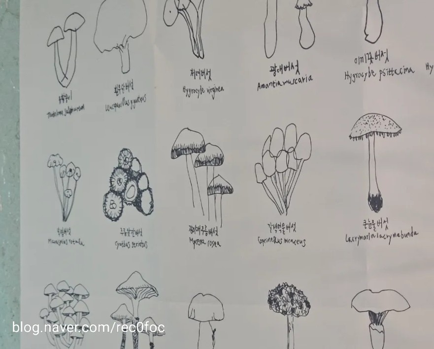 비원컴퍼니 이미지