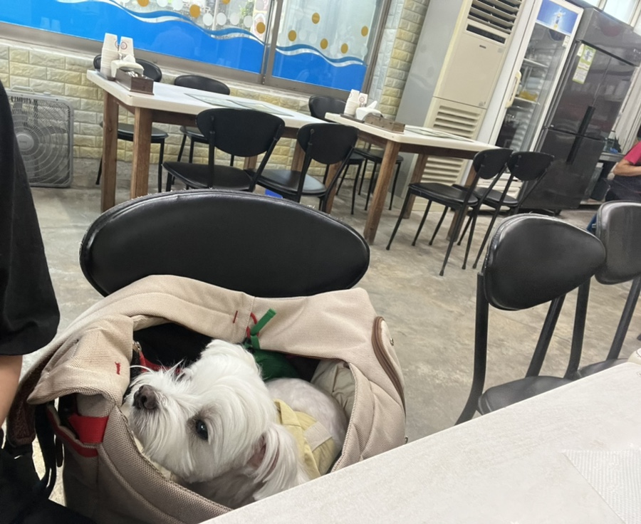 24시참새방앗간 이미지