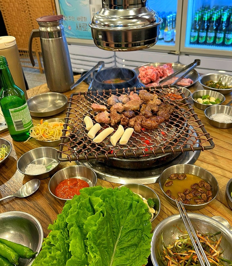 선운갈매기 이미지