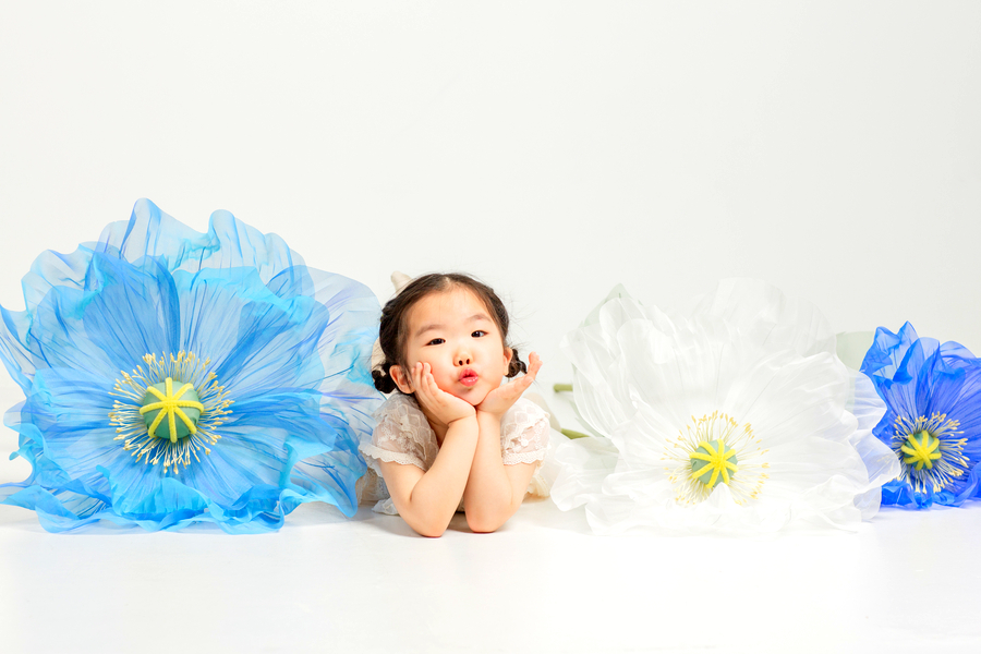 스튜디오 양귀비 이미지