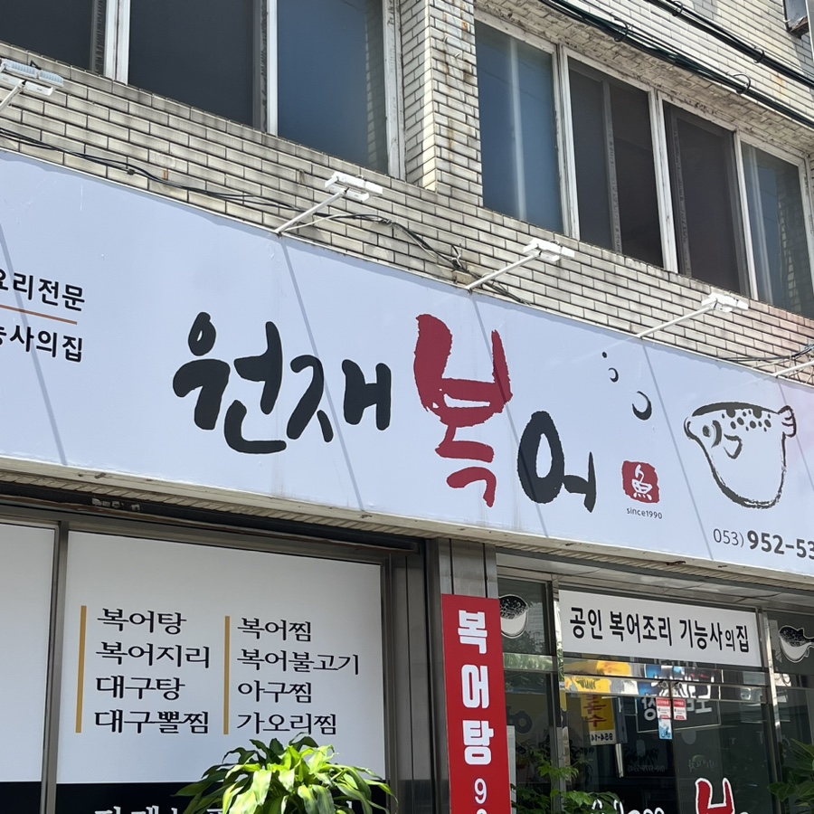 원재복어 이미지
