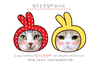 여상수 박달점 이미지