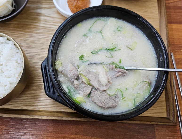 졸또 이미지
