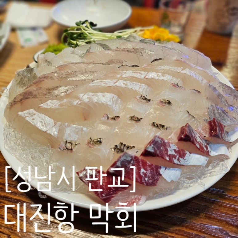 대진항막회 이미지