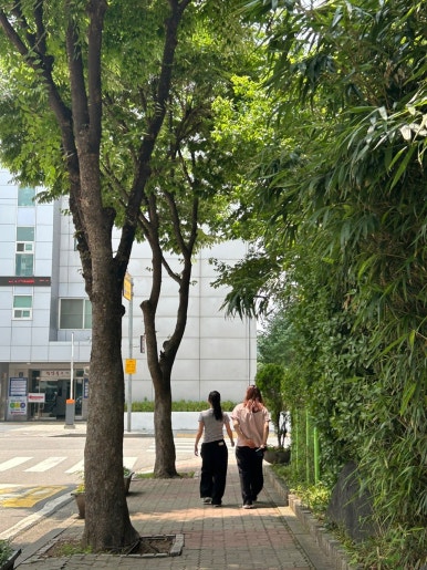 후다닭 이미지