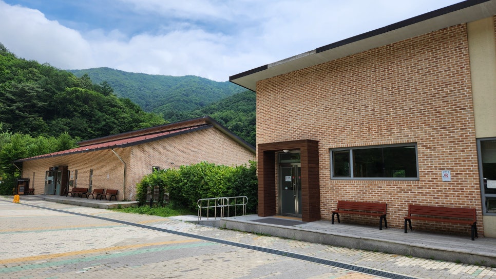 국립산림치유원 문필식당 이미지