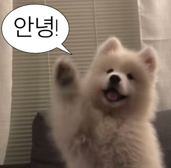 고기마을정육 이미지