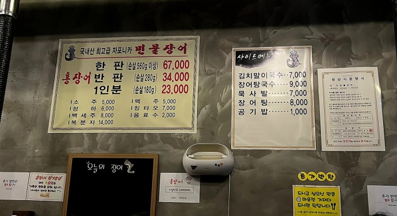 홍장어 이미지