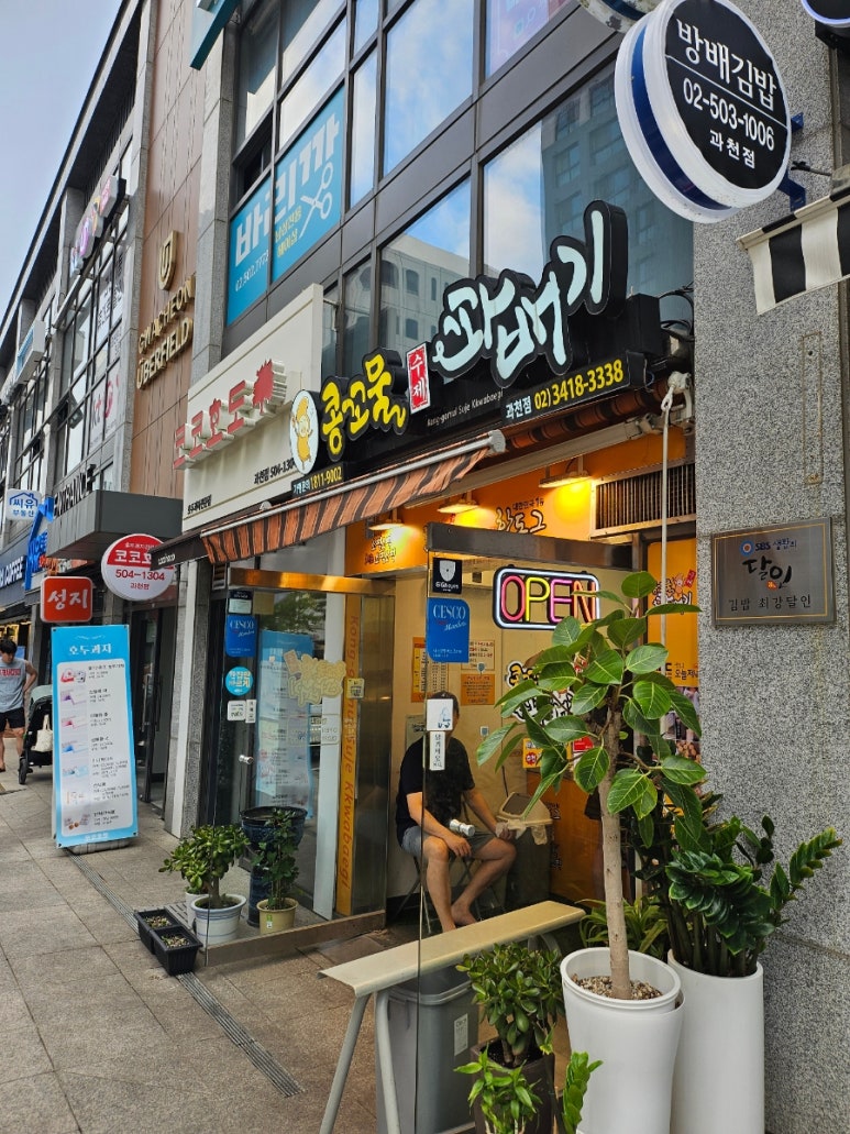 콩꼬물꽈배기 이미지