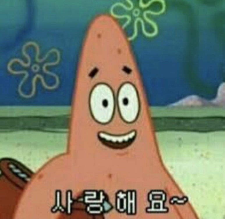 볼로그 이미지
