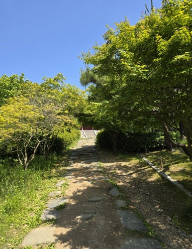 단지한식제과연구소 이미지