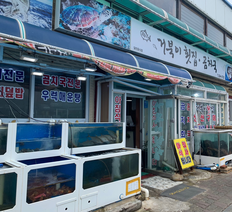 거북이횟집 이미지