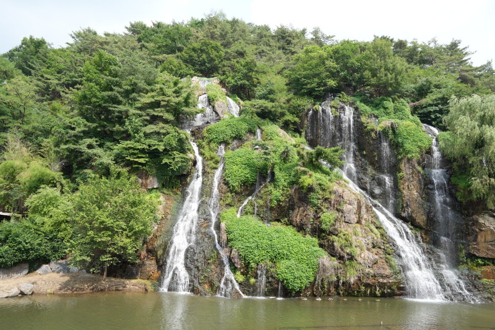 소니 A7C2 리뷰 가벼운 풀프레임 미러리스 카메라의 한 달 동안 업무용으로 사용해보니 이미지 7