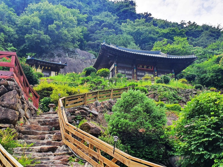 보성사 이미지