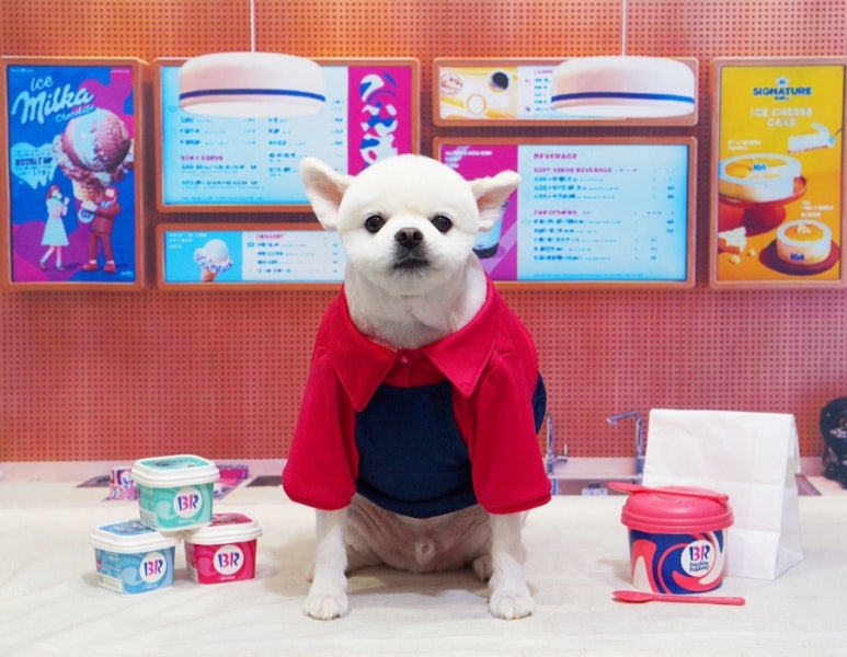 뭉치 이미지