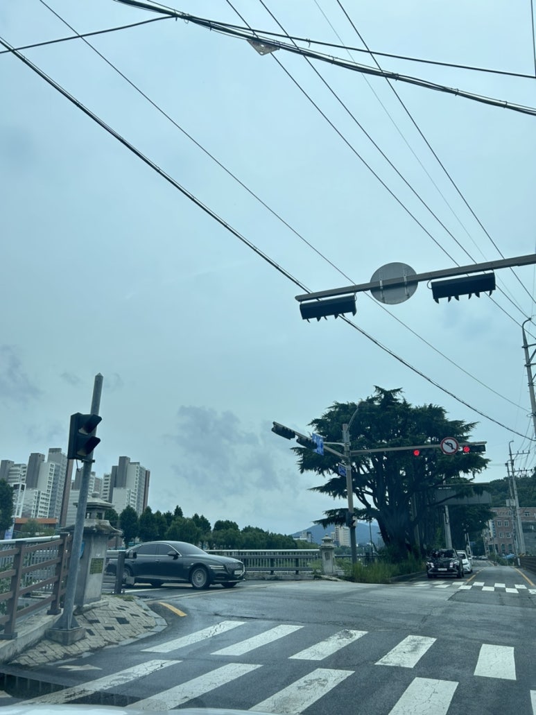 가로수회관 이미지