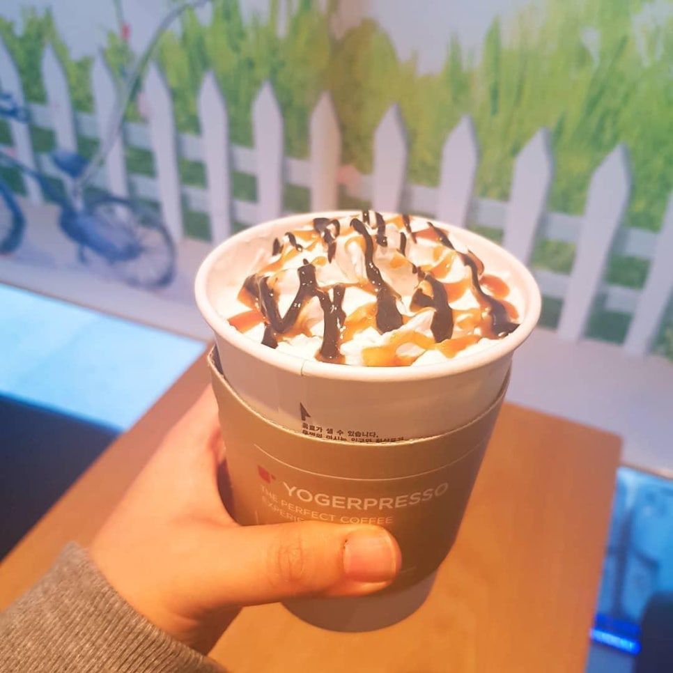 요거프레소대전 이미지