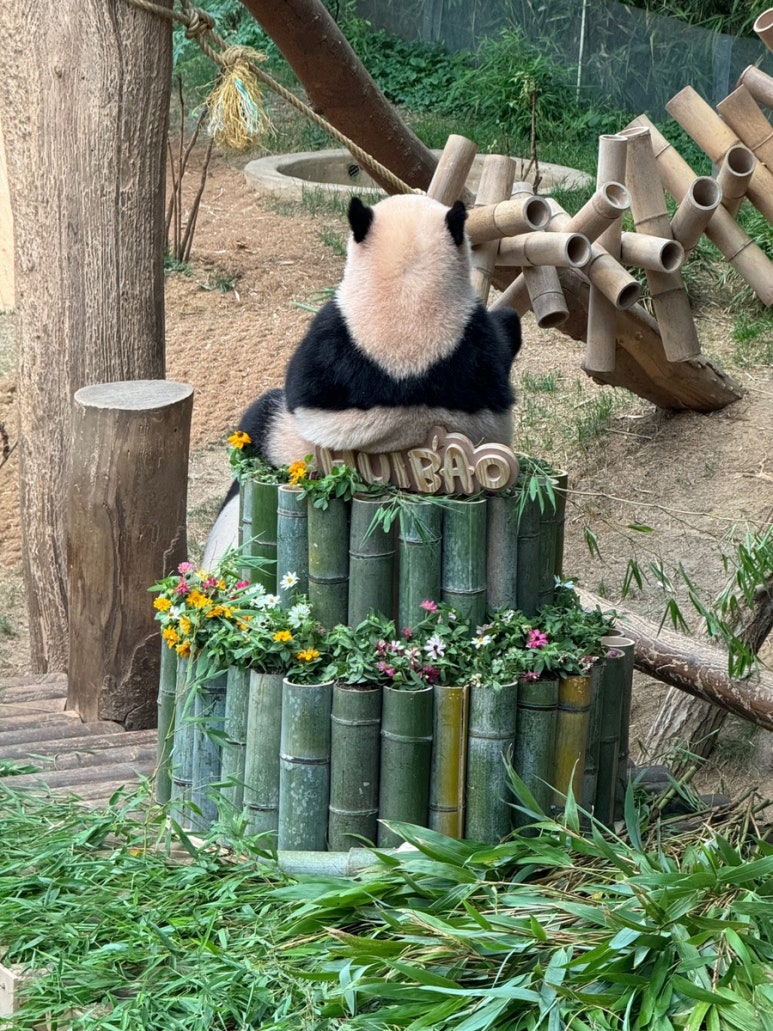 머리하자 이미지