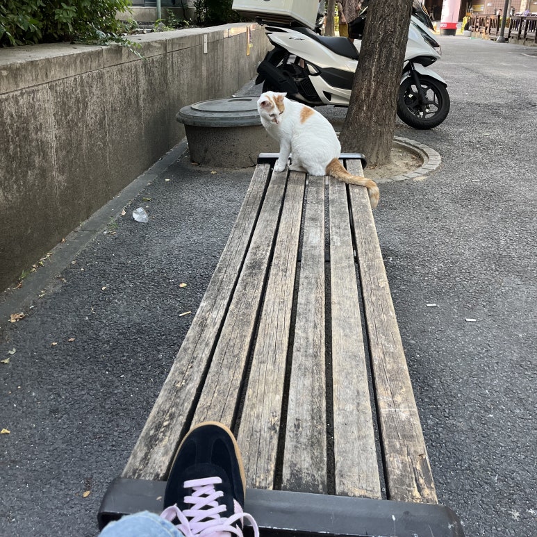네일츄르 이미지