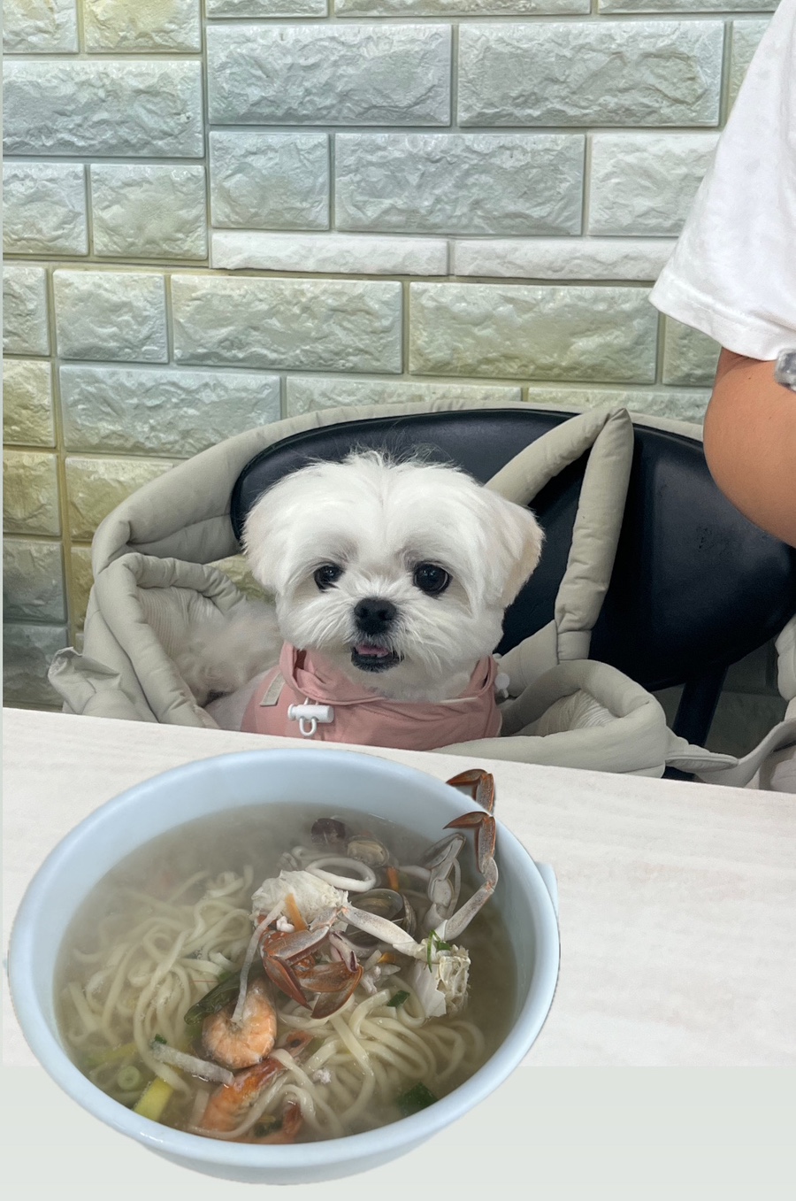 24시참새방앗간 이미지
