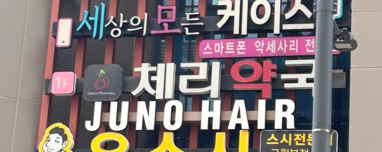 체리노래연습장 이미지