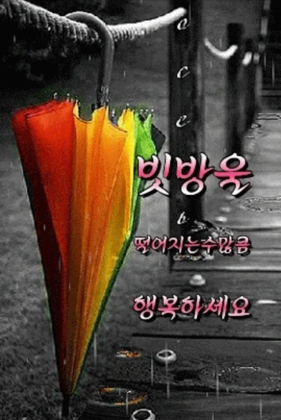 샤브샤브.칼국수 이미지