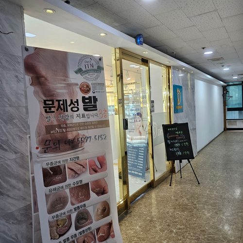 씰스킨 이미지