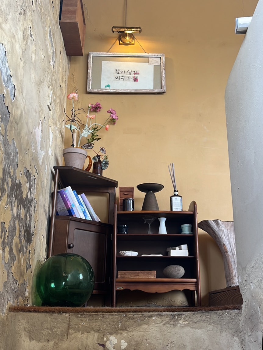 같이살자지구카페 이미지