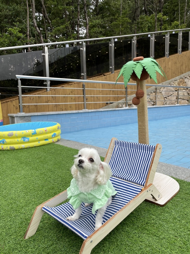 꽁이옷장 이미지