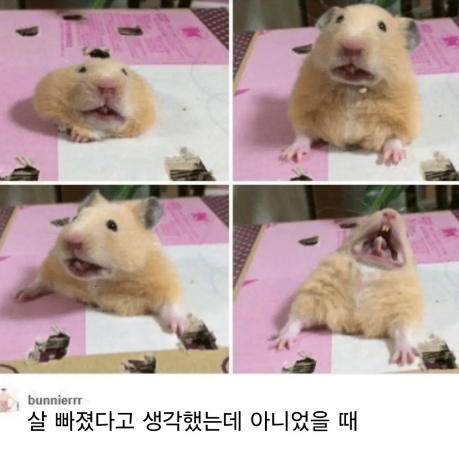 군산식도락 이미지