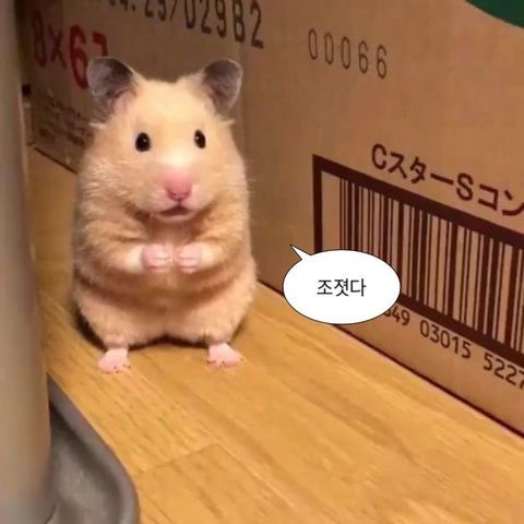 죽전어시장 이미지