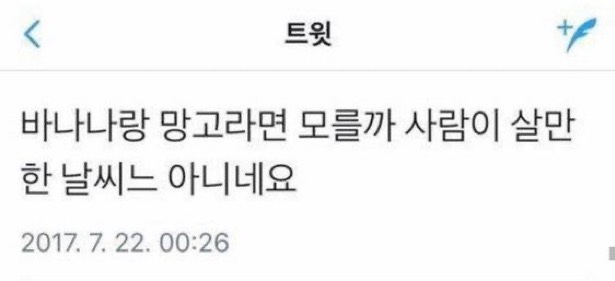르미앙 이미지