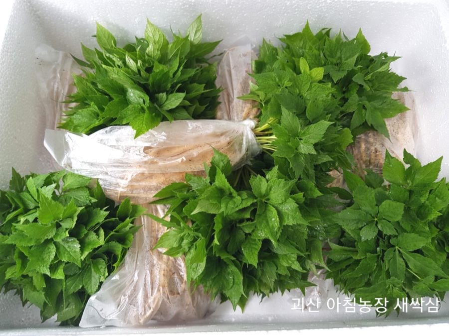 한우담 이미지