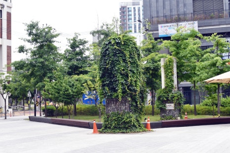 수창공원 이미지