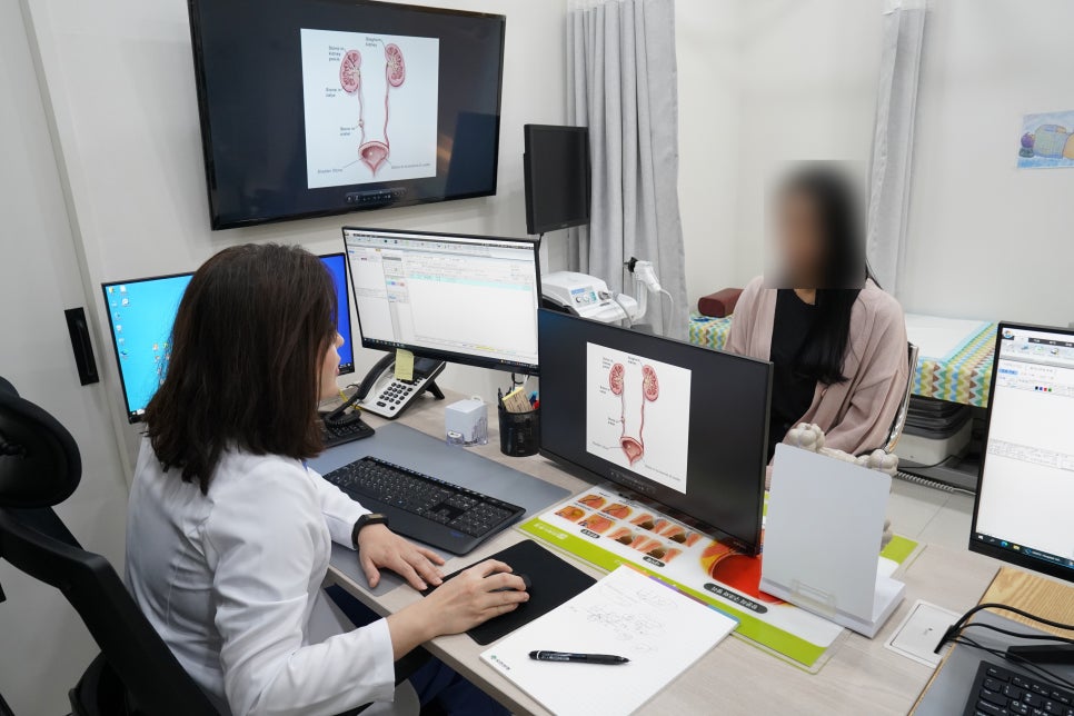 미사위대항의원 이미지