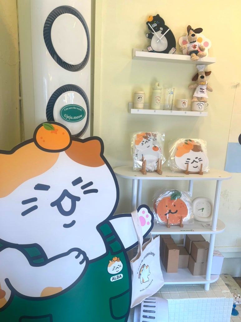 스튜디오노오 이미지