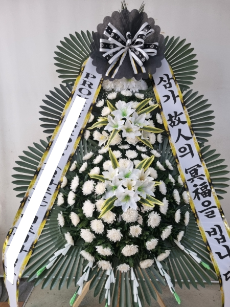 금성장례식장 이미지